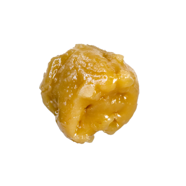 Shark Bite Cherry Budder – Hybrid EU